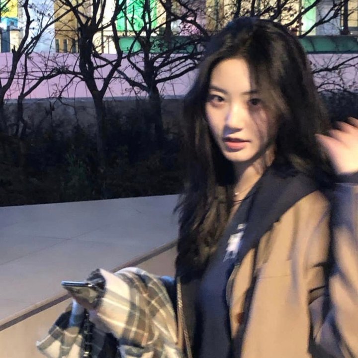 怪人：阿尔·杨科维克的故事